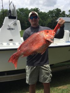 Big Snapper 2016