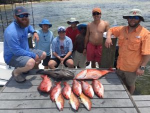 Snapper 2016